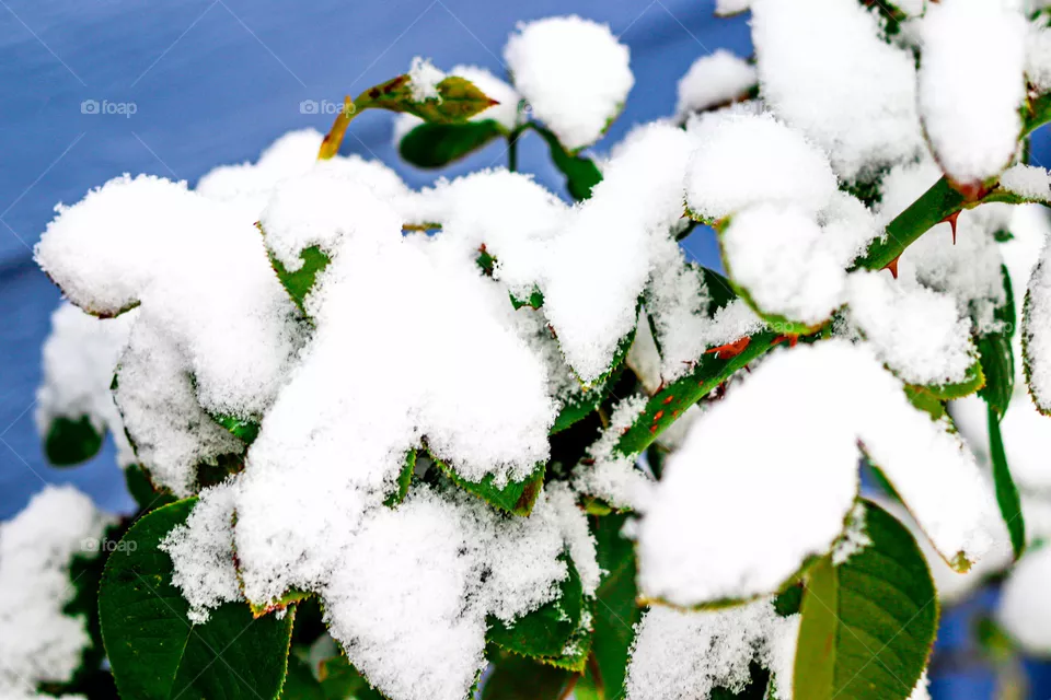October Snow