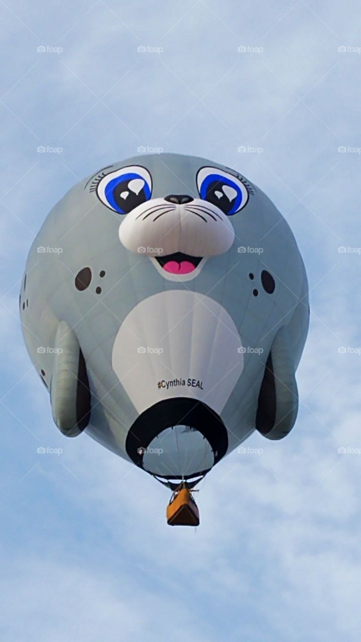 seal theme hot air balloon
