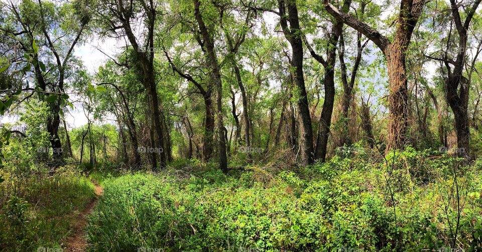 Audubon Trail Colorado 
