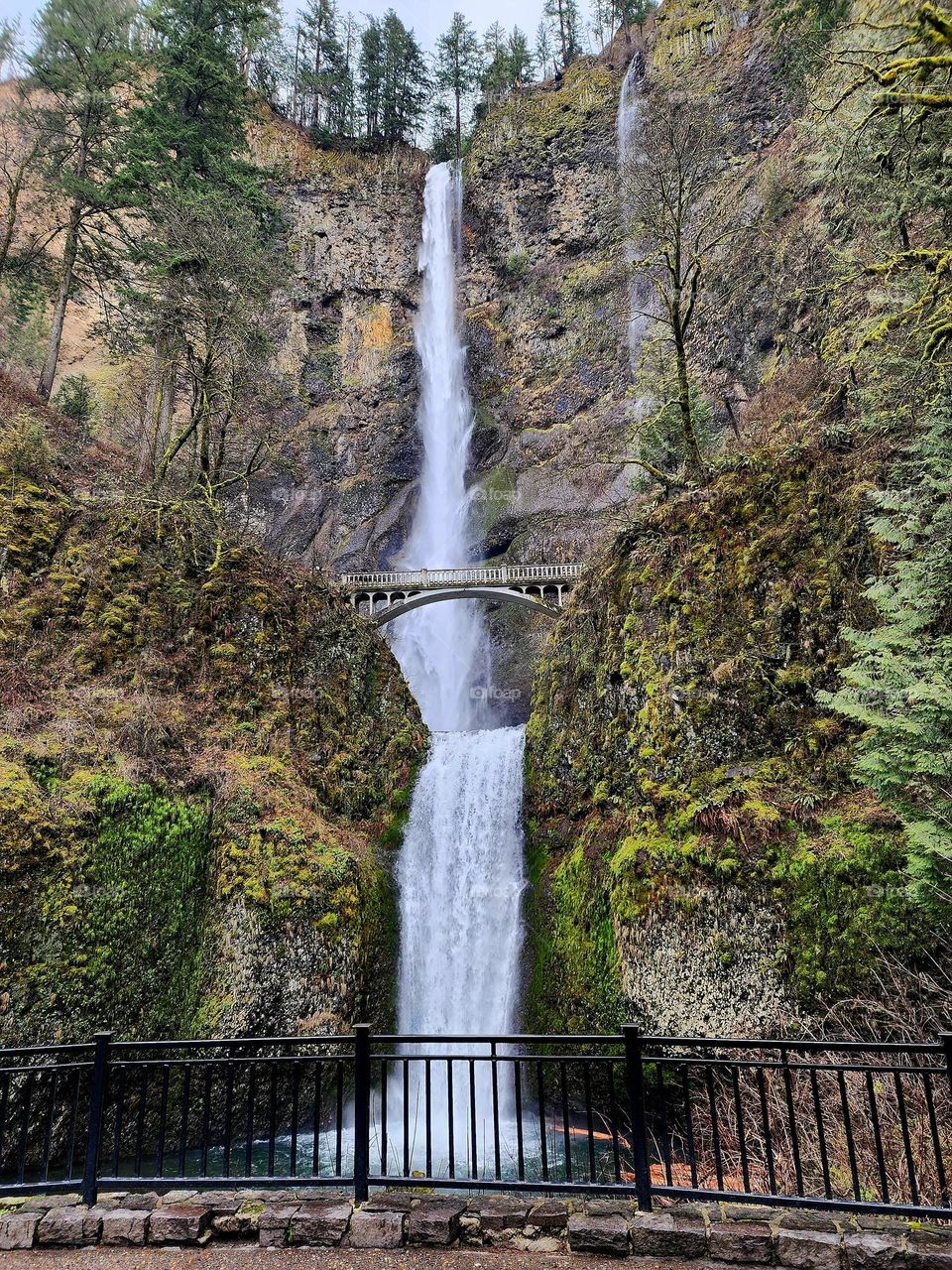 The Multnomah Falls in Oregon is truly a spectacular sight and one not to be missed if you travel in the area