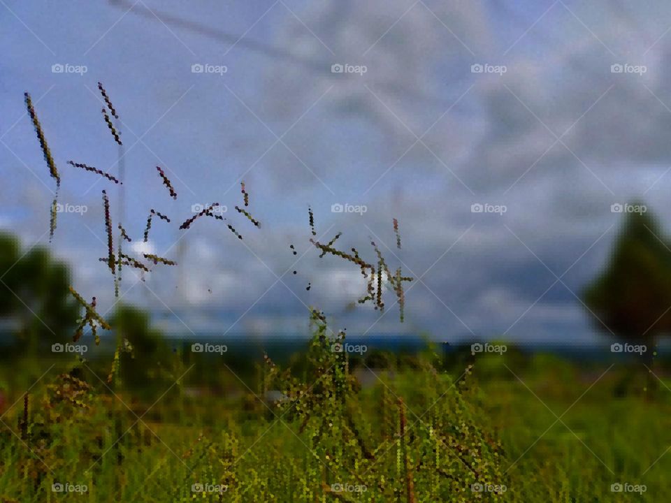 Landscape with
meadow, blue sky
and clouds. Rural
flowers on green
grass. Field with grass and wild
flowers Meadow with wild flowers