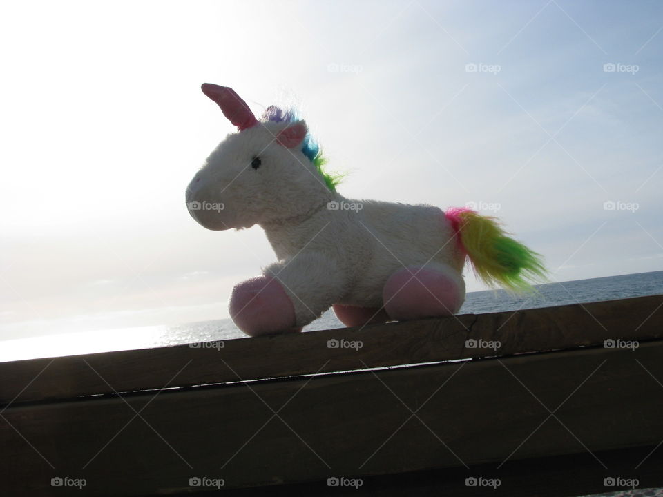Toy unicorn . Fernanda's First pic.