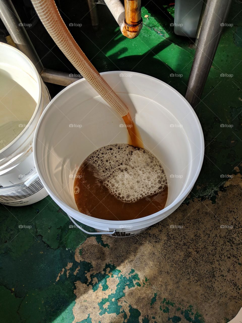 Beer brewing process