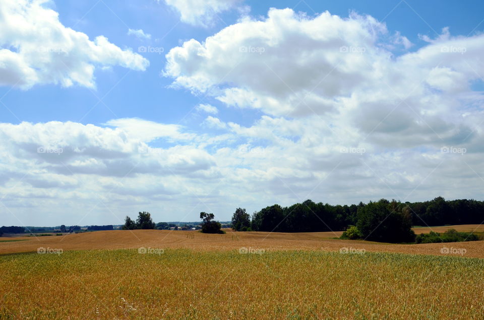 Fields of the crops, landscape of the Mazurian region in Poland