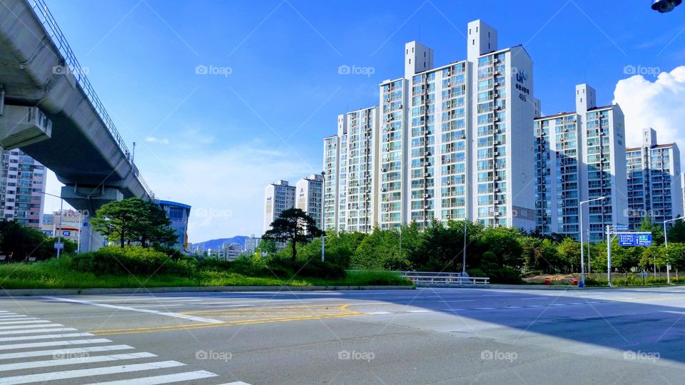 colors of the spring & summer