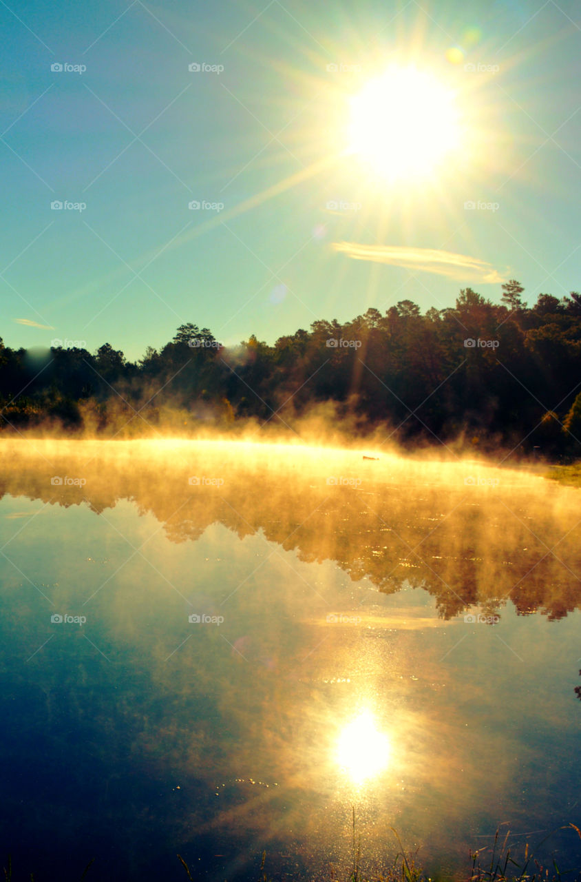 Captivating Illuminating Sunrays! 
It is a dazzle with splendor and a soul-swelling experience to capture brilliant sunrays! Between the gaps in the forests canopy and the tall grasses, lances of molten gold beams splash through the atmosphere and onto the earth!