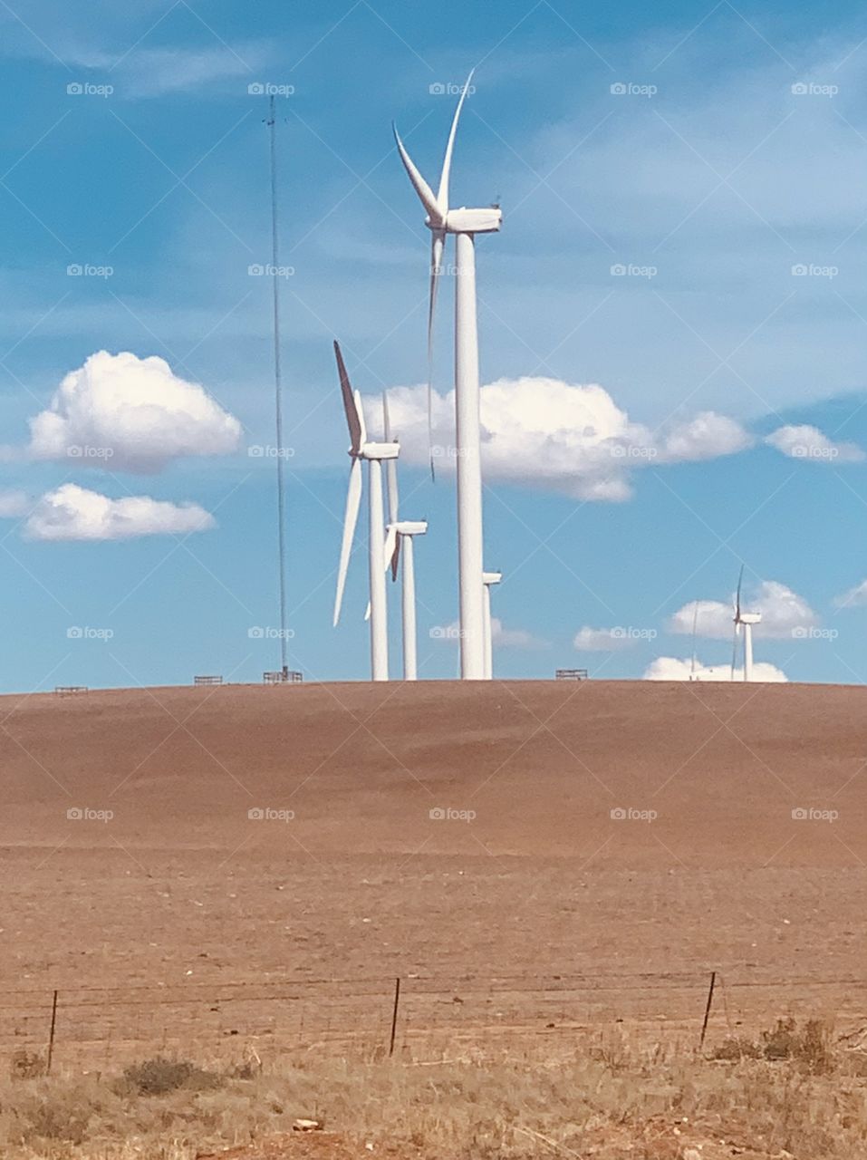 Wind farm 
