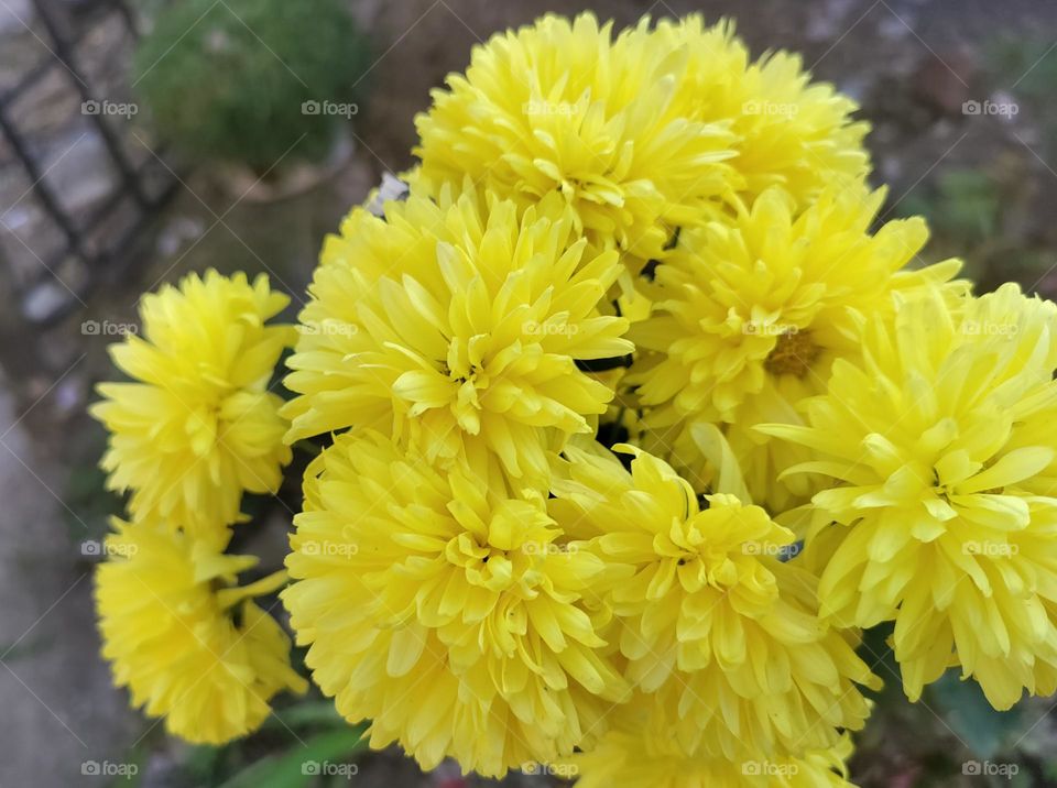 Editor's choice, photo of the week