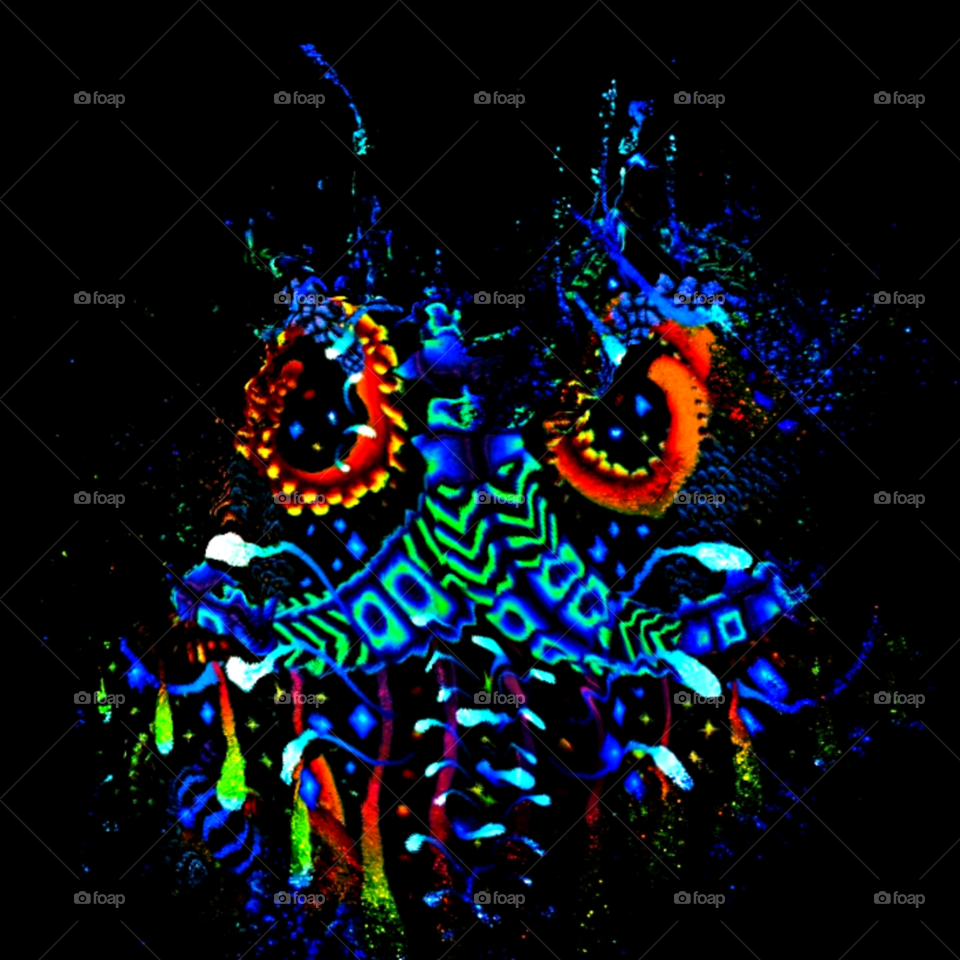 Psychedelic Owl