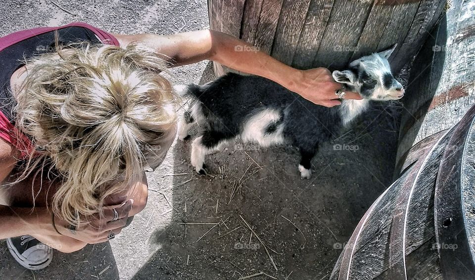 woman petting baby goat