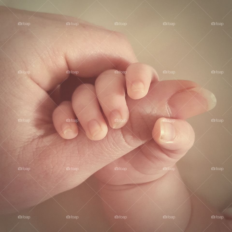 tiny fingers