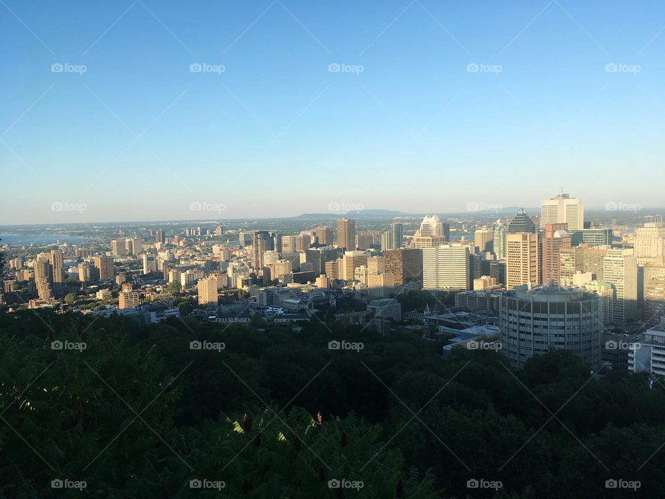 Mount Royal - Montreal