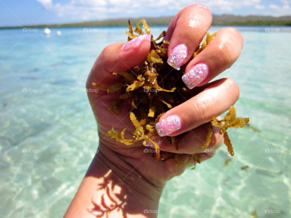 Seaweed and Nails