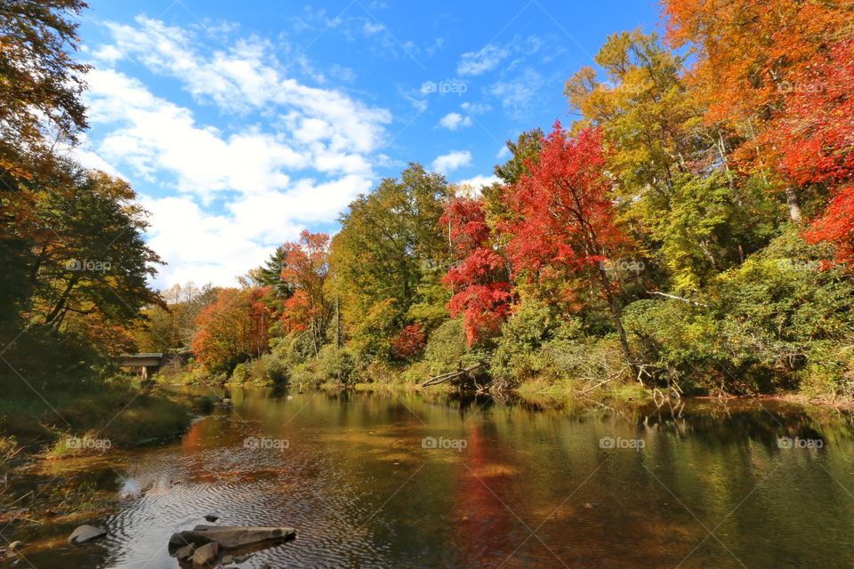 Lake with autumn trees
