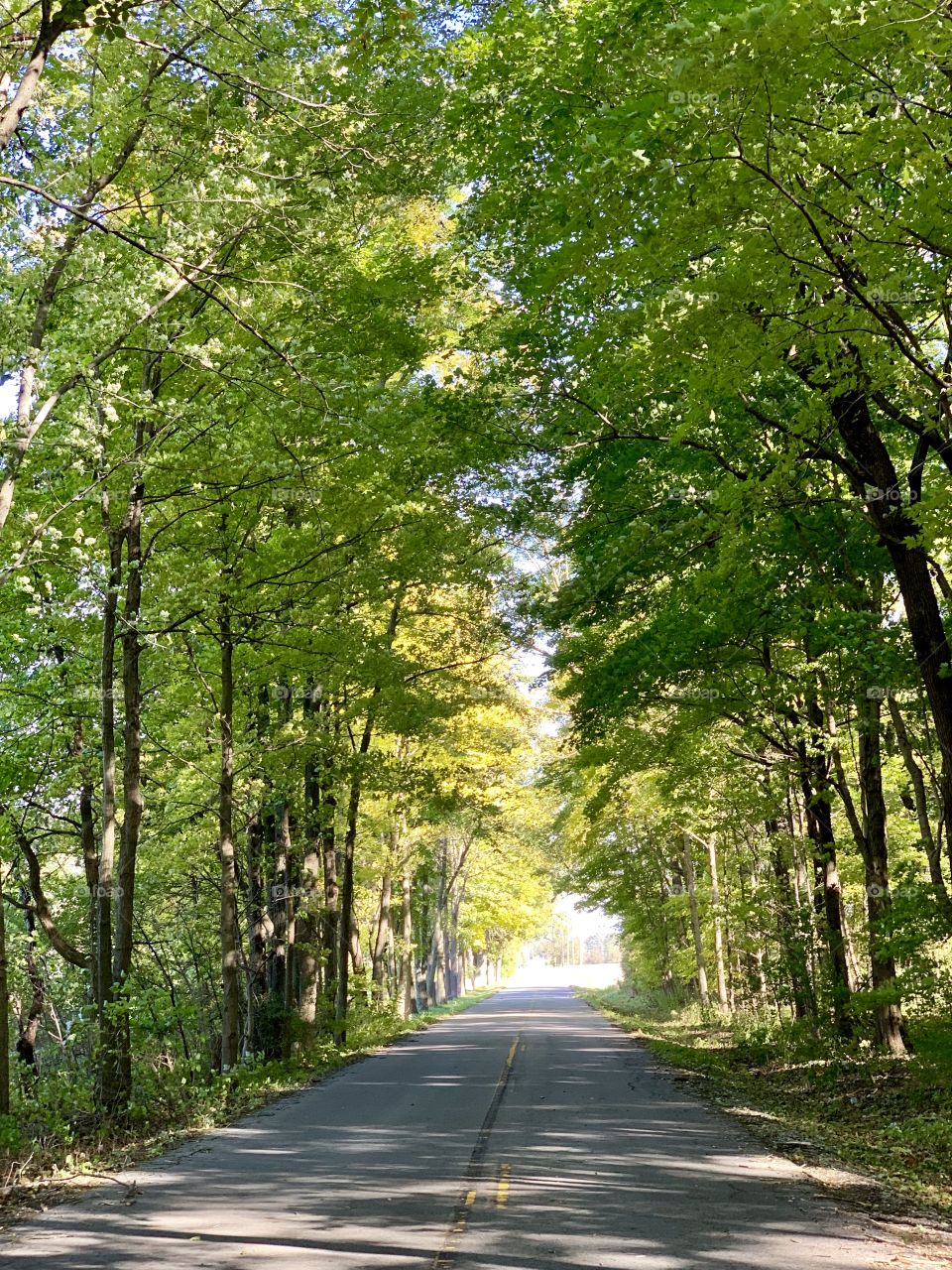 Country roads in Indiana 
