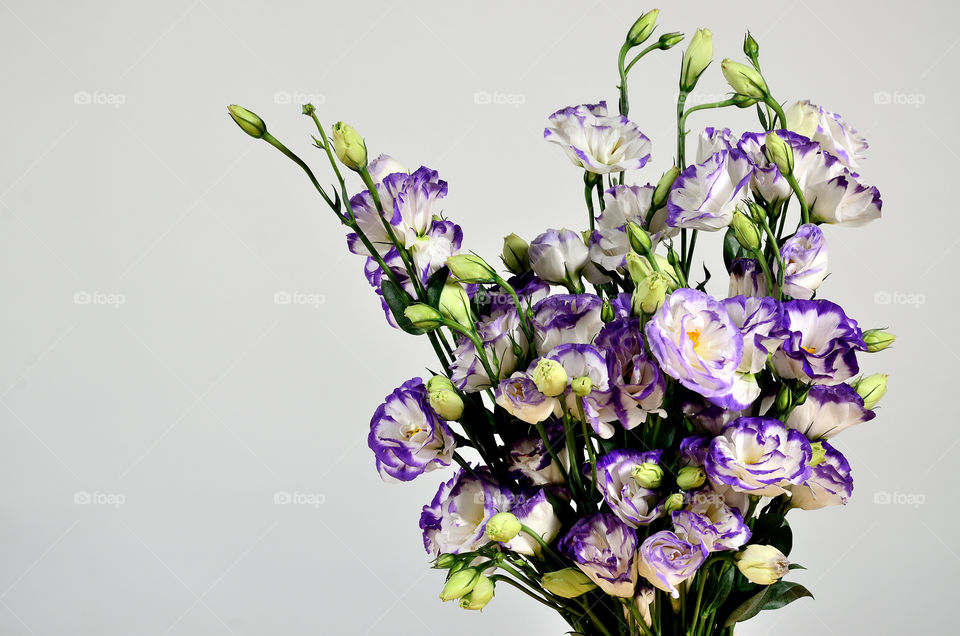 Lisianthus Flower