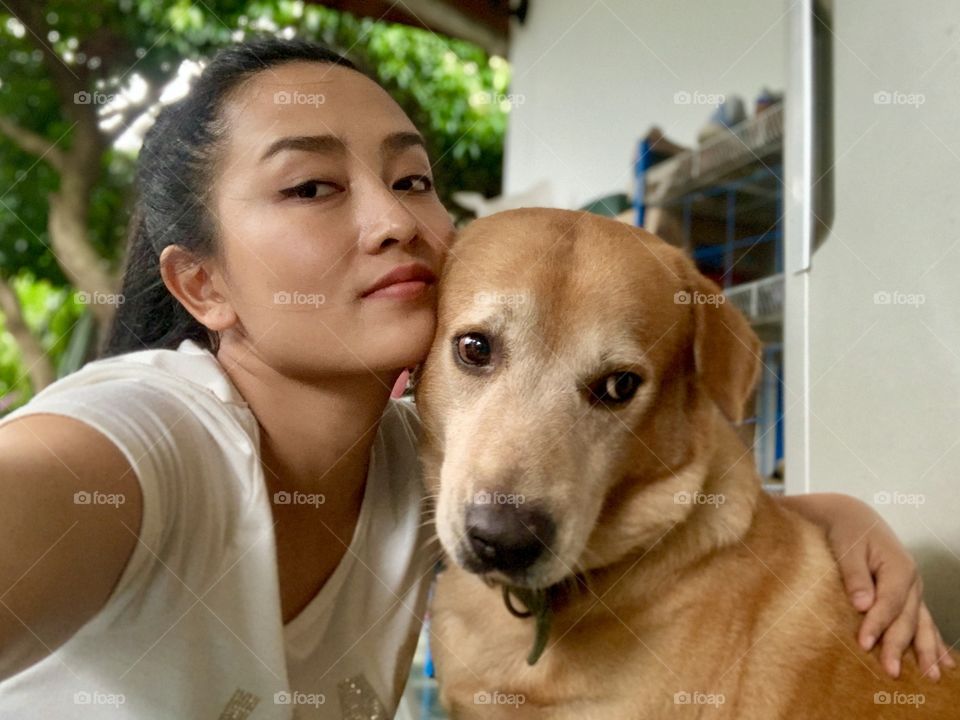 Half breed golden retriever and Labrador as a big dog brother in the pack and acts like a man when he was in front of the camera 