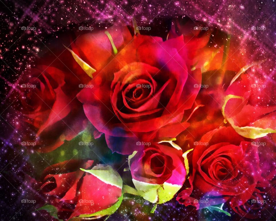 Stardust Roses