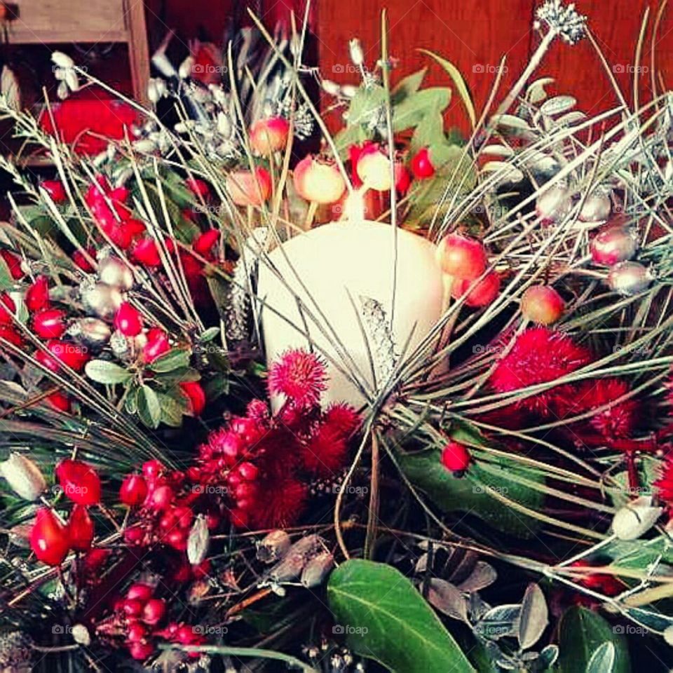 light decoration plants