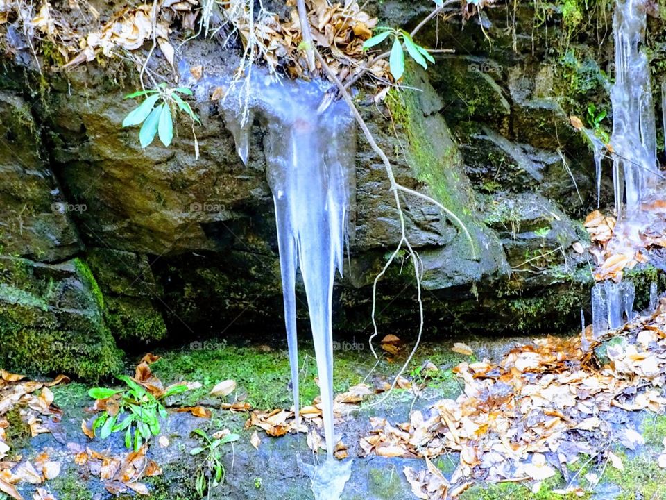 Stream side Icicle 