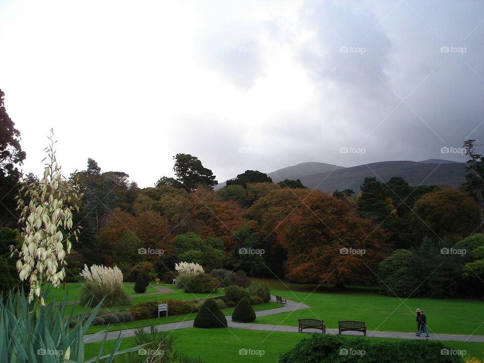 Mucross house garden