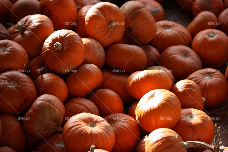 Close-up of pumpkin