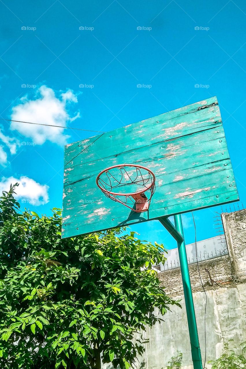 Basketball hoop under clear sky in front of shady tree in low angle view