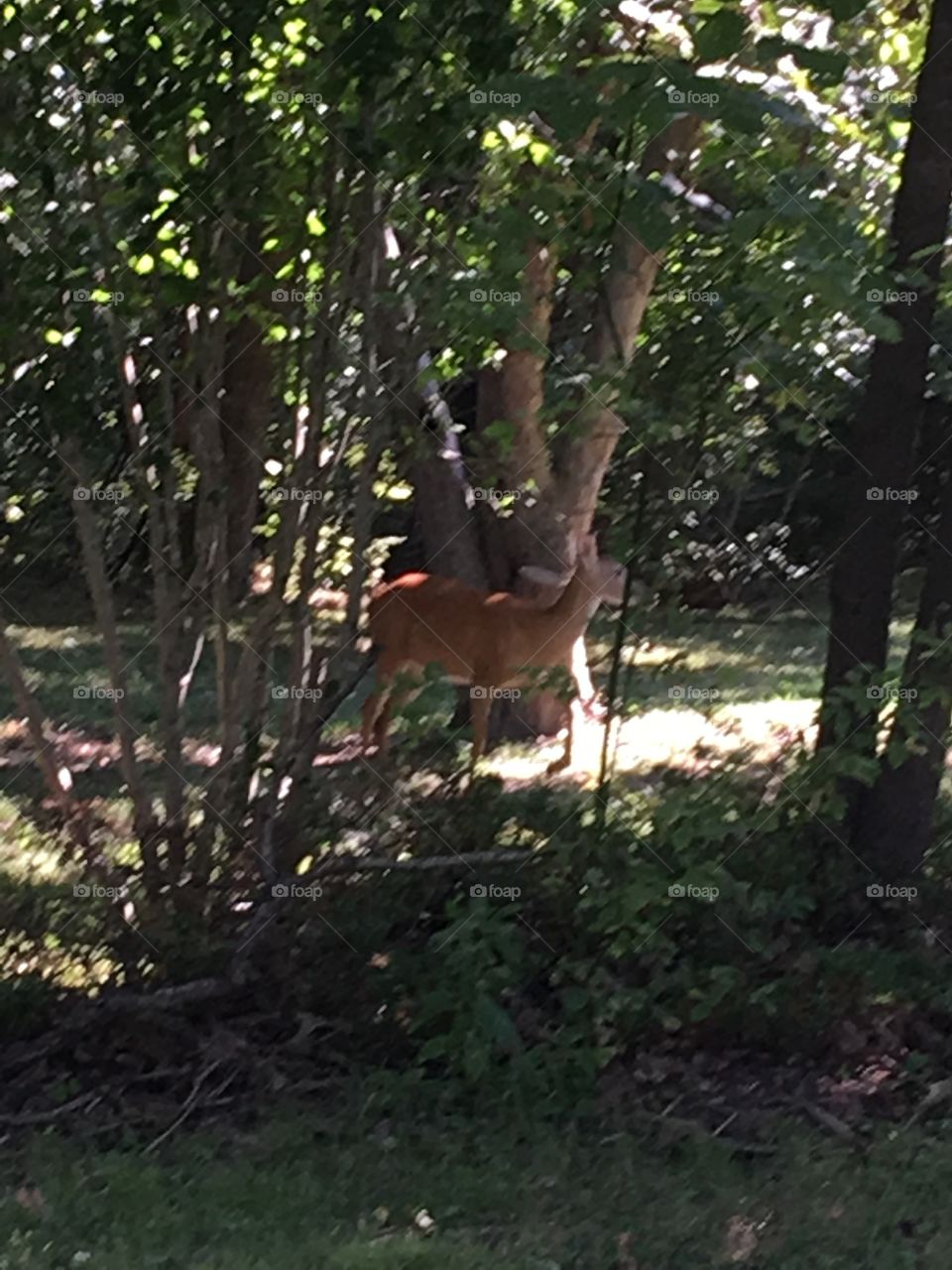 You can’t see me now I’m hiding from you. Do you give up yet? I’m gonna stay right here.