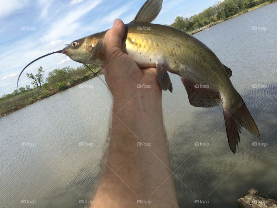 A catfish in the hand is worth two in the lake...