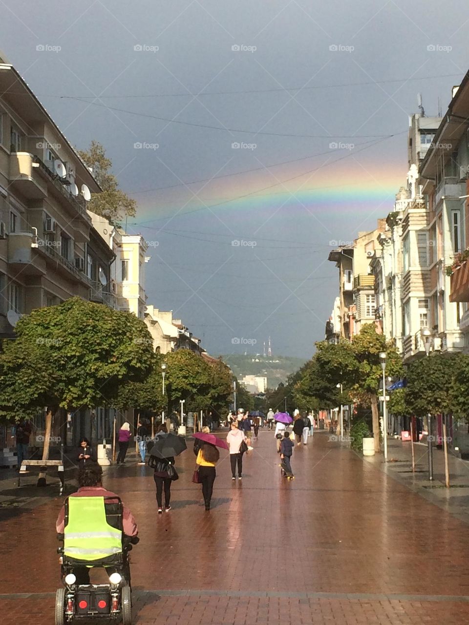 Life goes on under the rainbow 