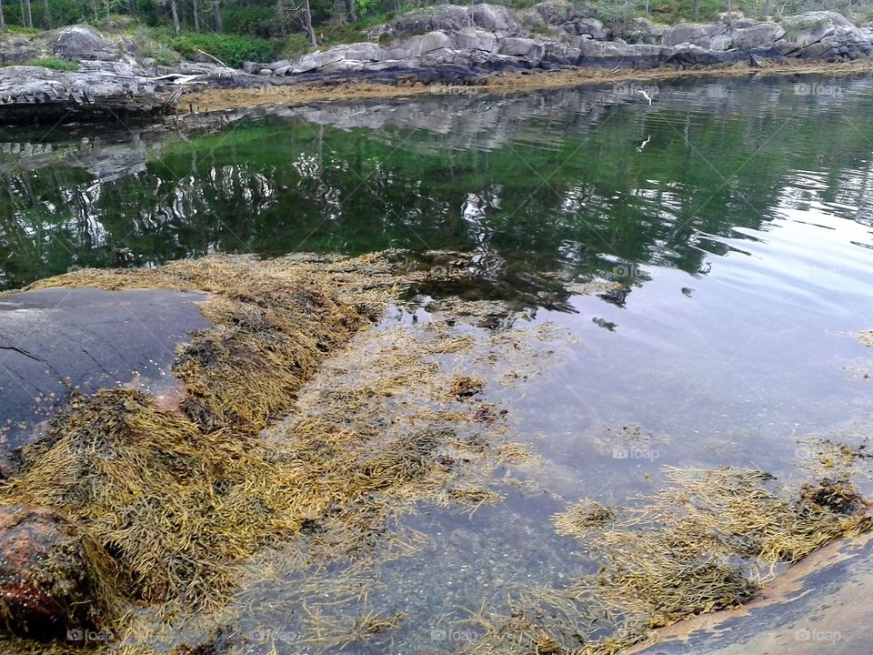 Idyllic view of lake