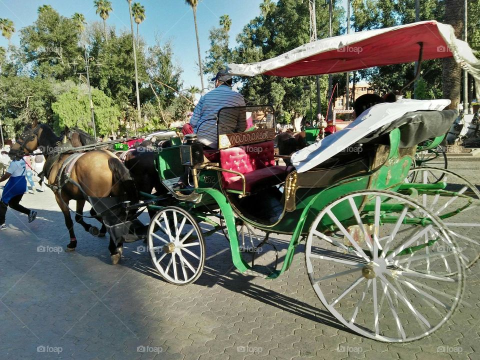 Public transport in Morocco:  Caleche.