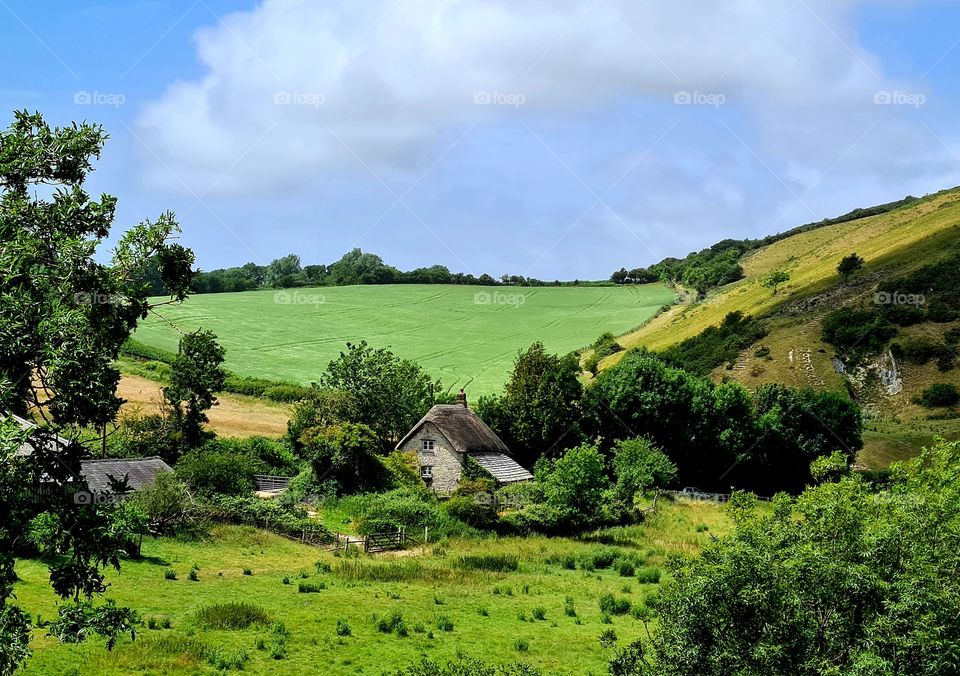 devon countryside