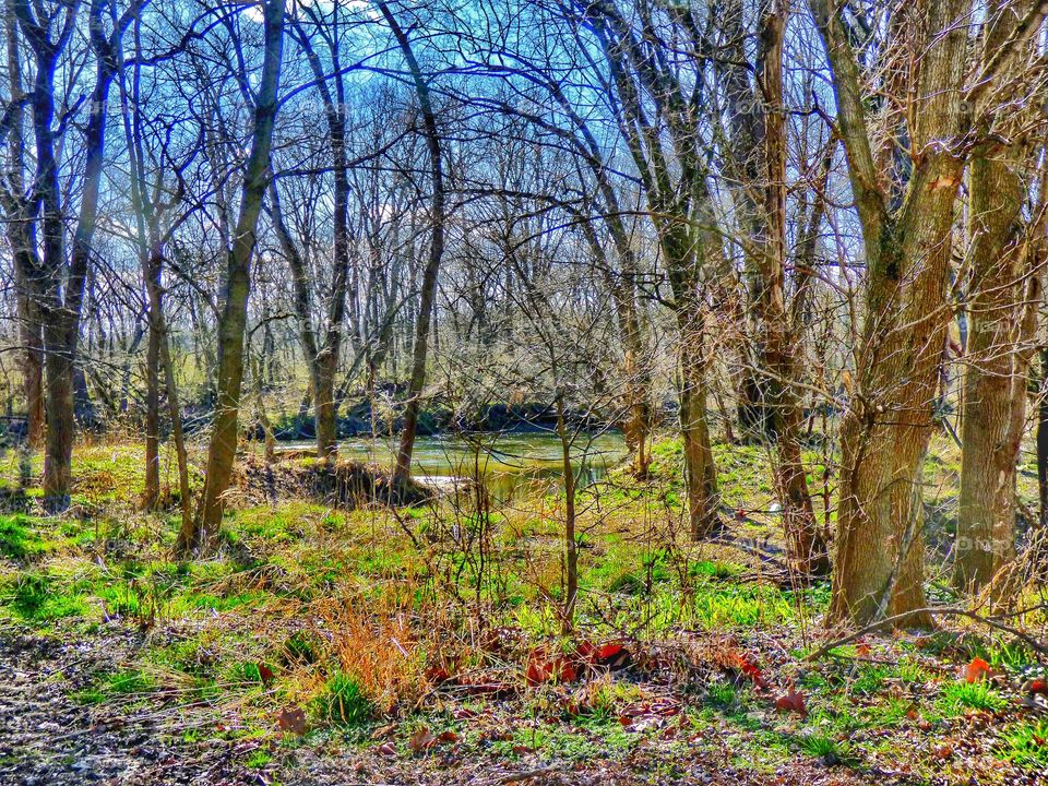 Beautiful spring in Indiana 