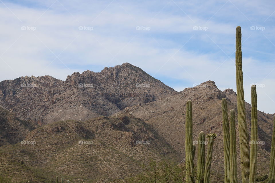 Tucson, Arizona