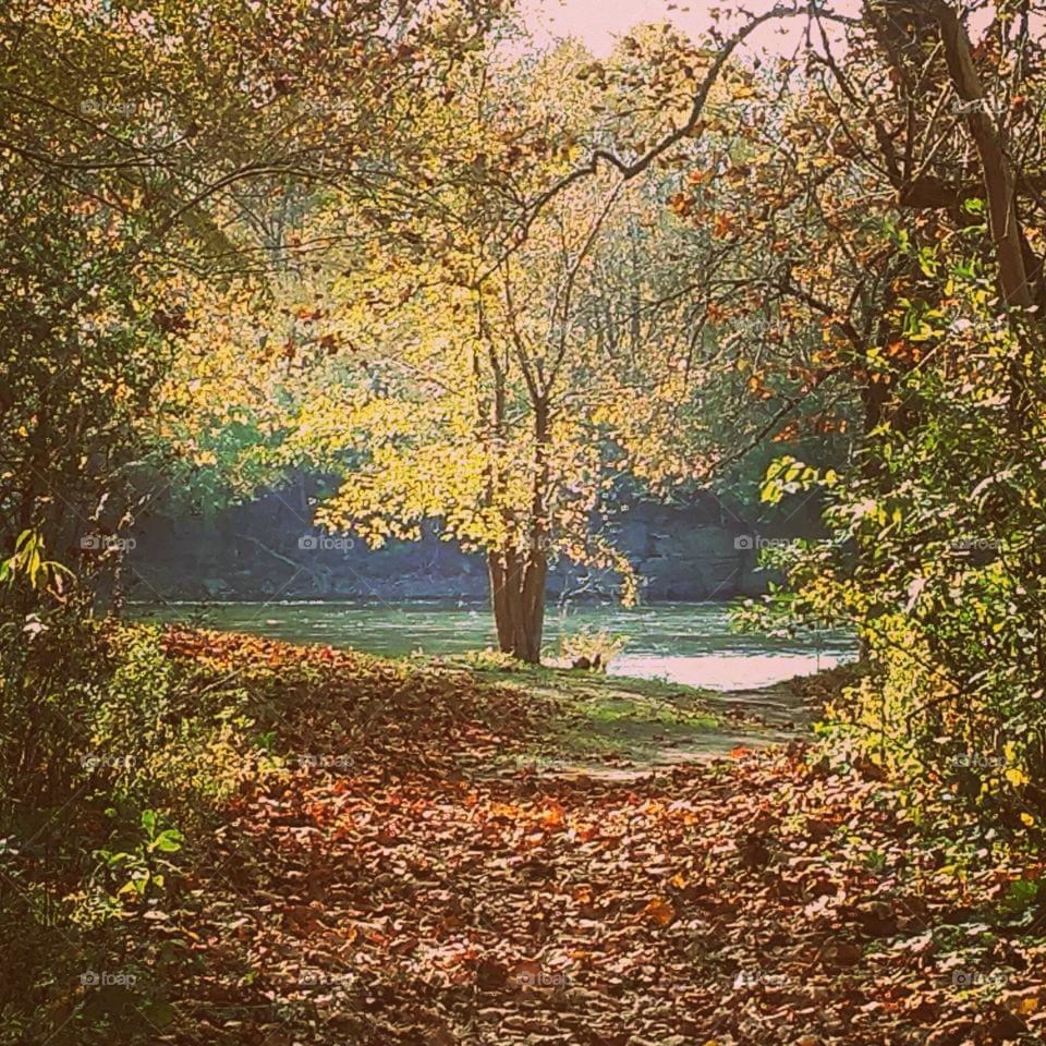 Autumn path to River