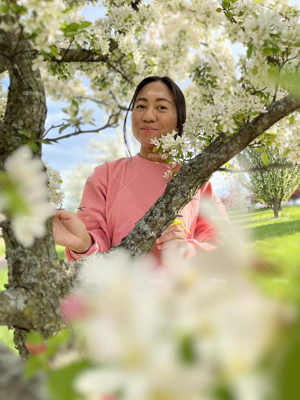 The beauty of spring 