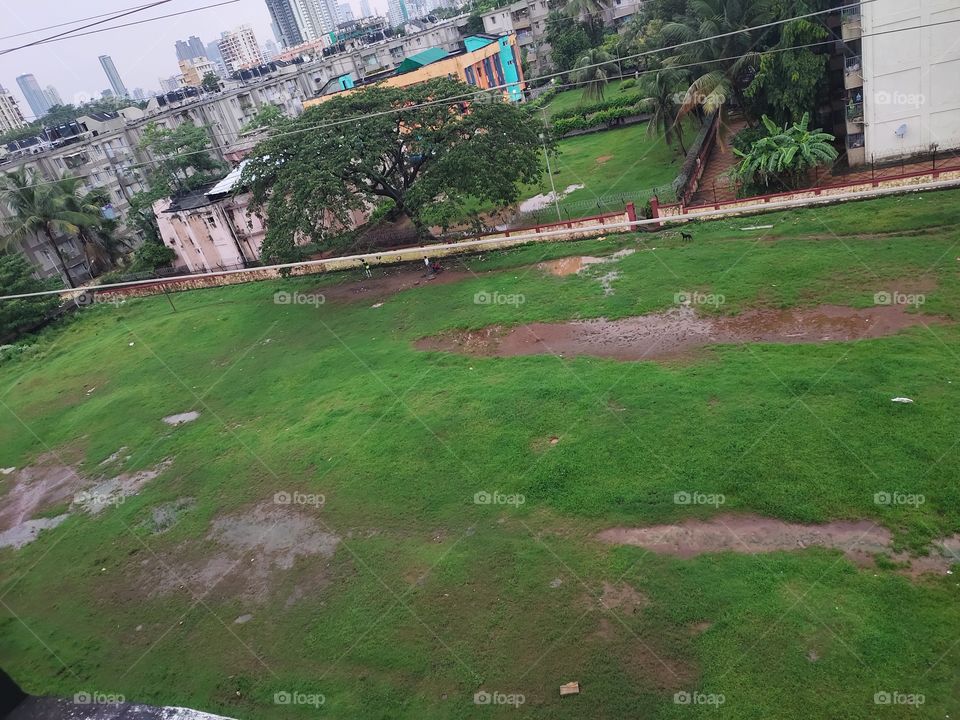 Park After Rainfall
Filled With water
Natural Beauty
Green and Grey