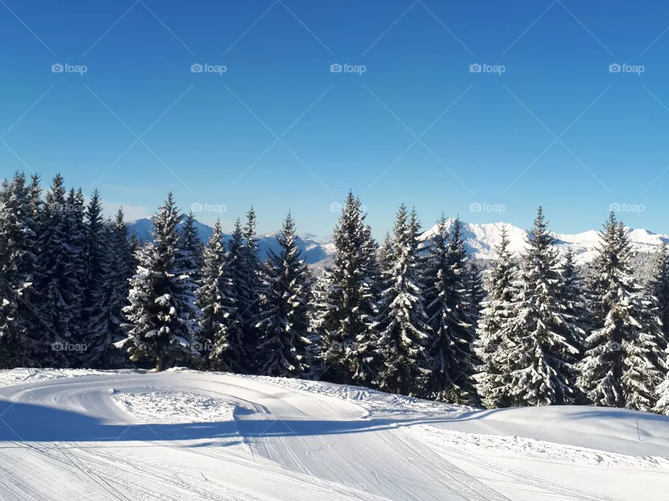 winter