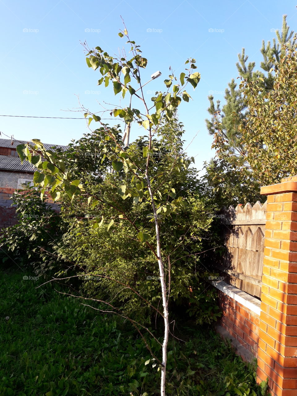 Город осенью