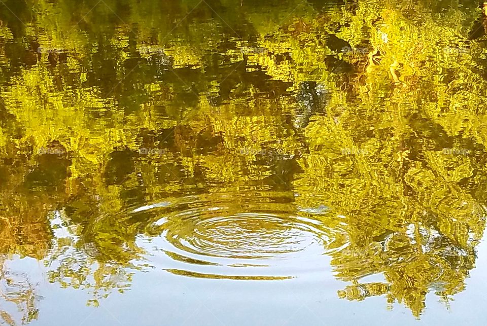 ripples in the lake