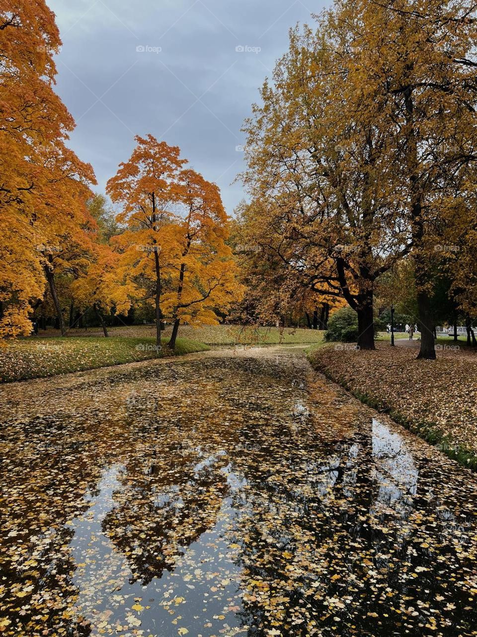 mobile photo of an autumn park and river covered in yellow and orange leaves