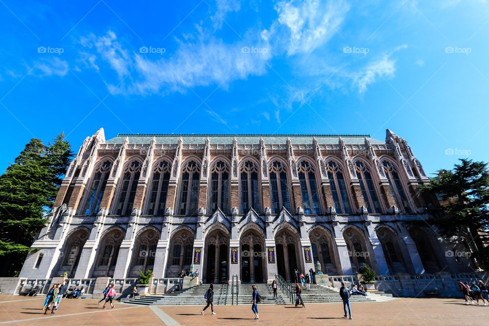 Library of the university of Washington 