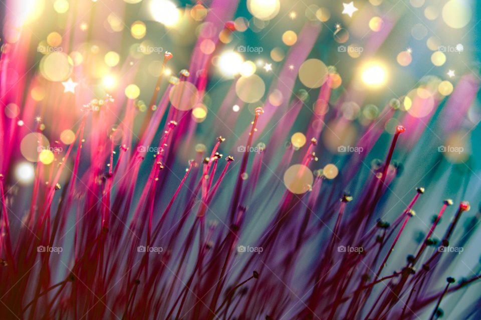 golden bokeh light and purple stigma
