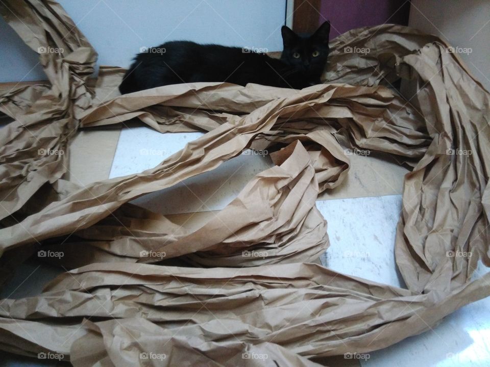 Paper nest