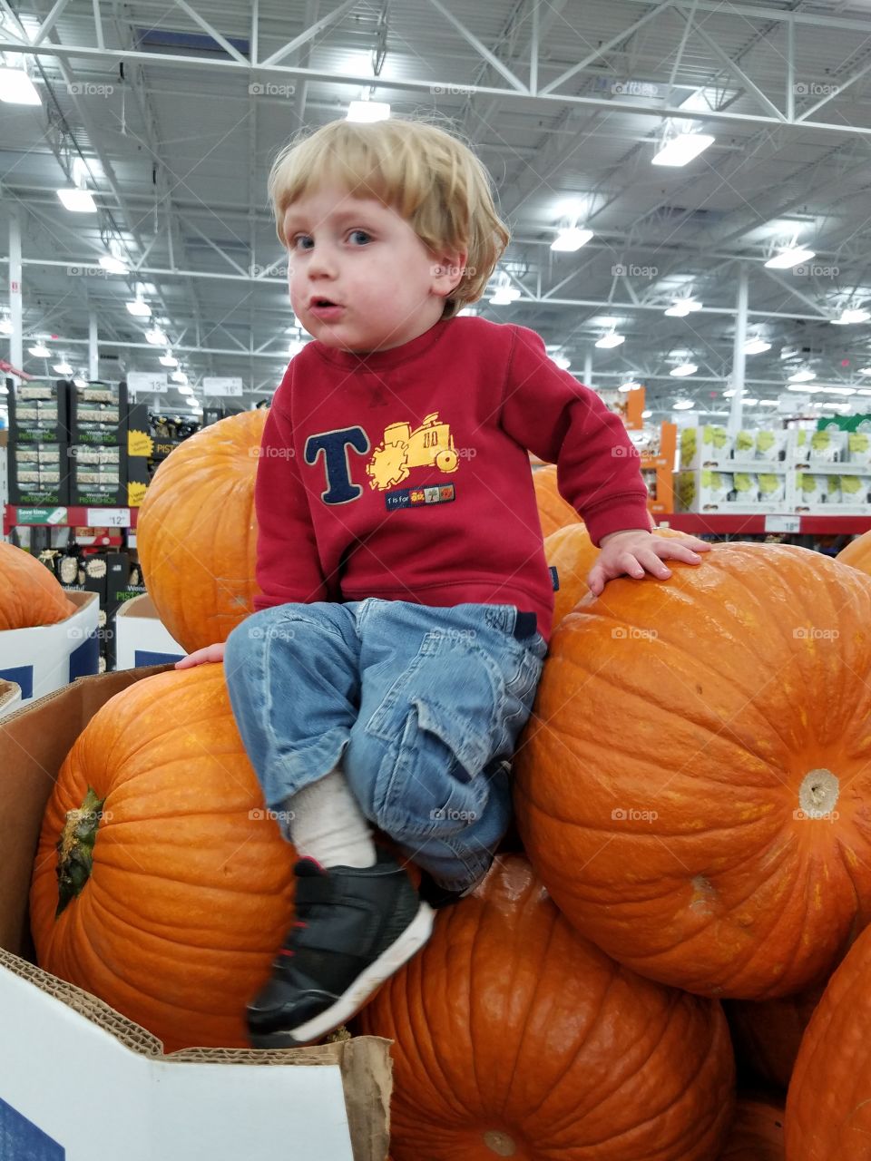 pumpkin fun