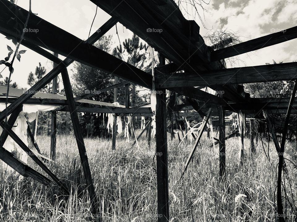 Hawthorne Nursery urbex abandoned