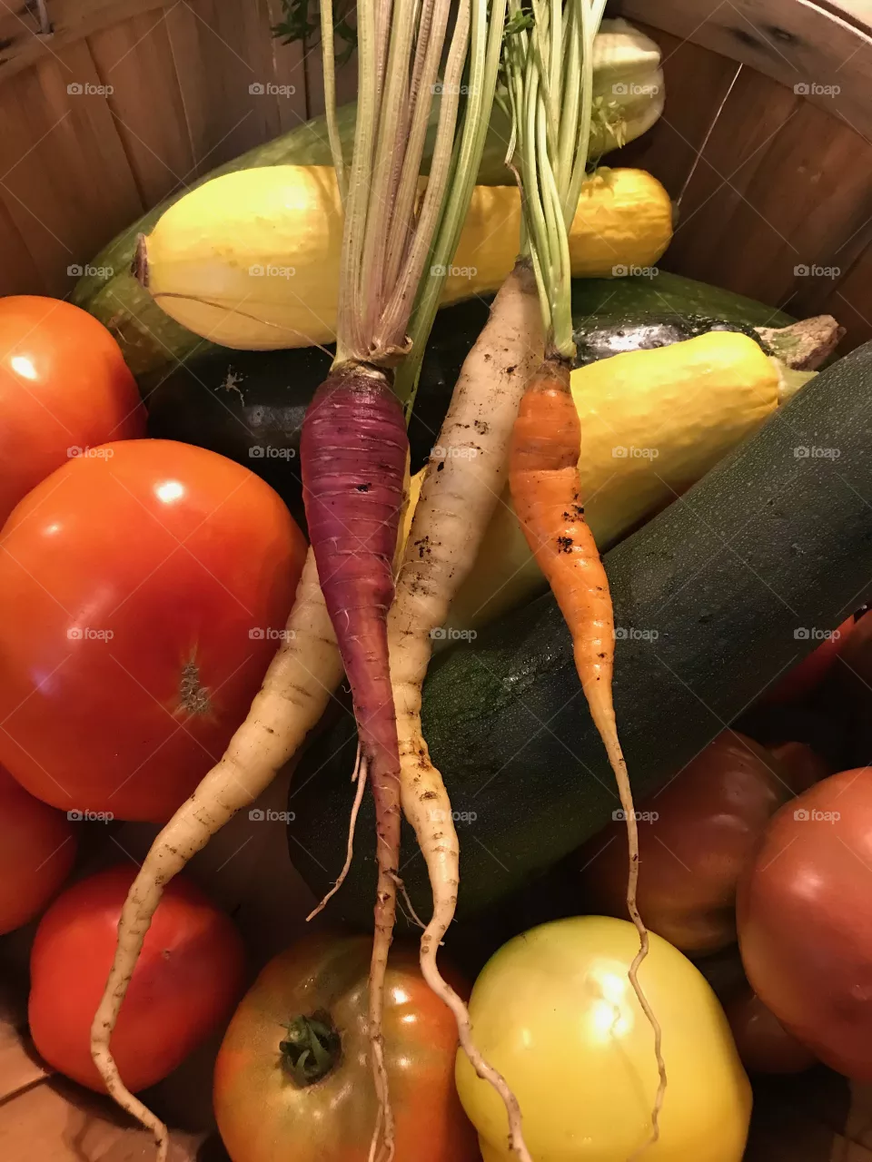 Bounty 