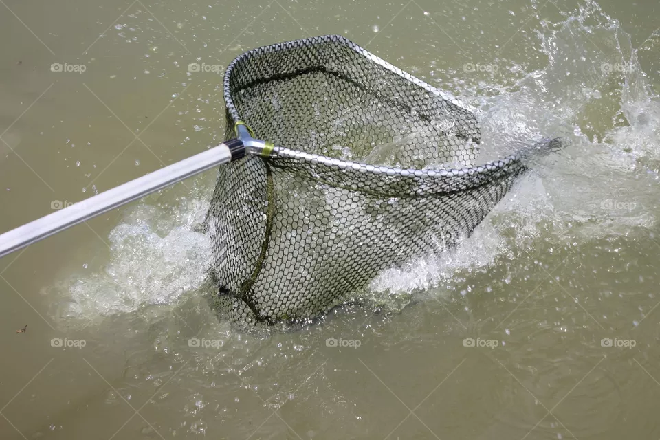 Fishing