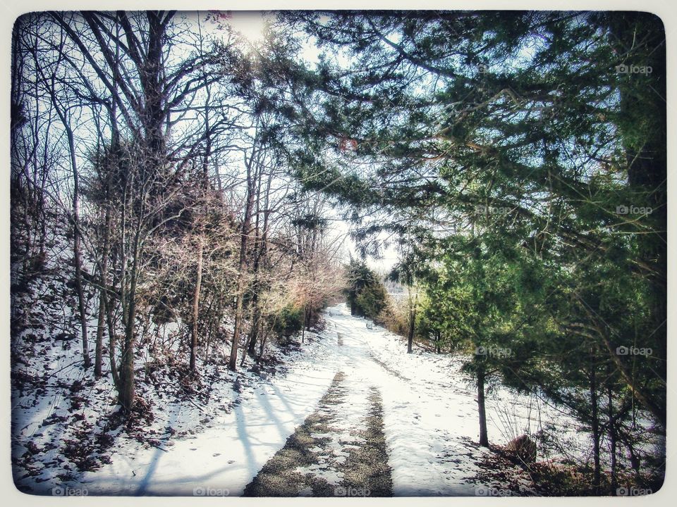 snowy path